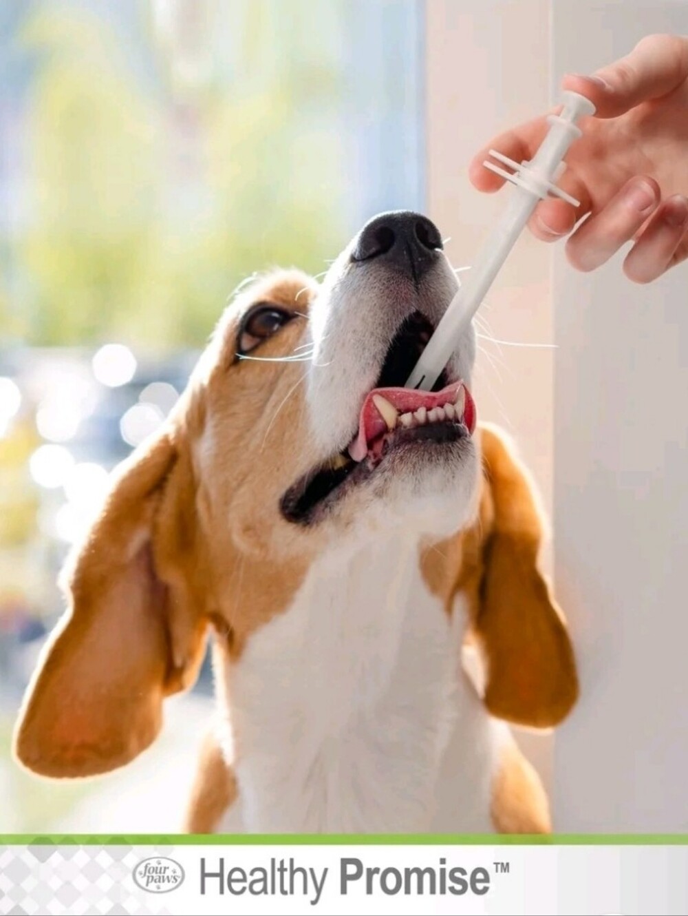 Pet Pill Dispenser